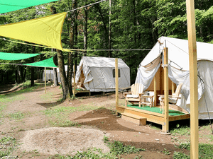 Glamping tents at Treetopia Campground